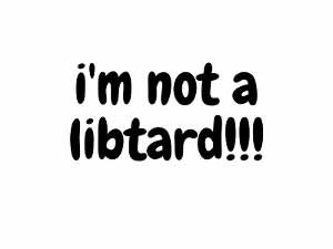 What to Say When Someone Calls You a Libtard